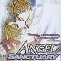   Angel Sanctuary <small>In-Between Animation</small> 